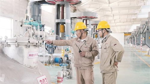 新疆自貿試驗區建設 技術咨詢助力高質量發展